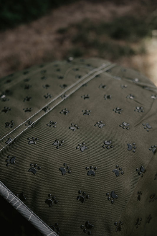 Topograph Forest Green Dog Travel Mat