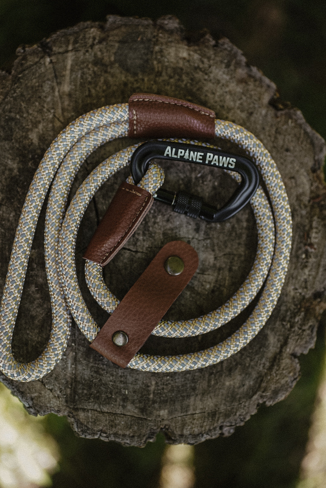 Reflective Dog lead with brown leather ends and 'Alpine Paws' branding on a wooden surface.