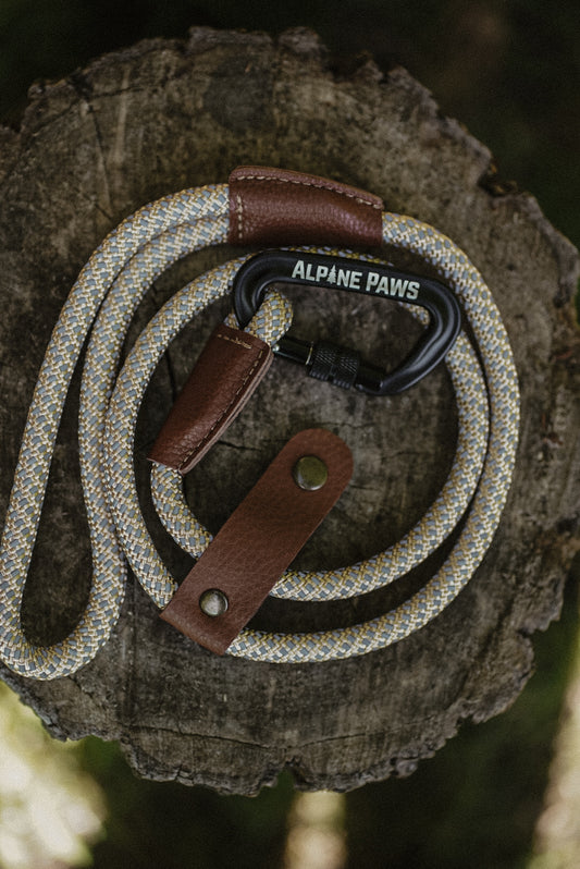 Reflective Dog lead with brown leather ends and 'Alpine Paws' branding on a wooden surface.