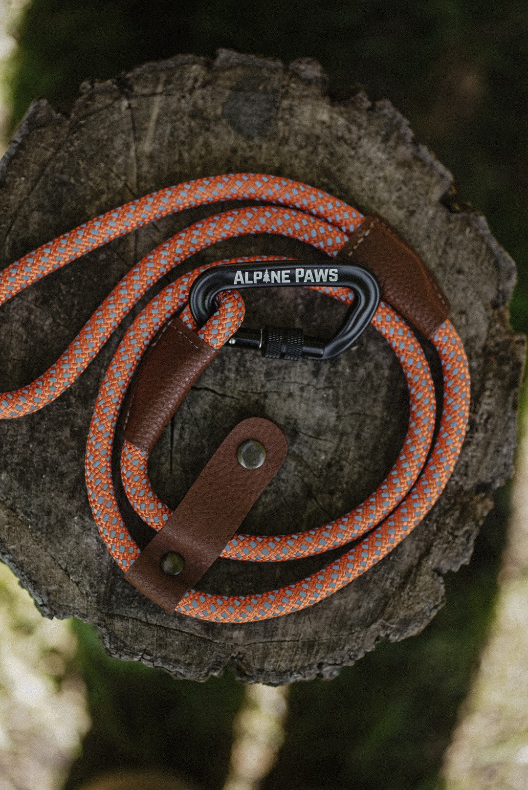 Dog leash with orange pattern and brown leather handle on a wooden surface, branded 'Alpine Paws'.
