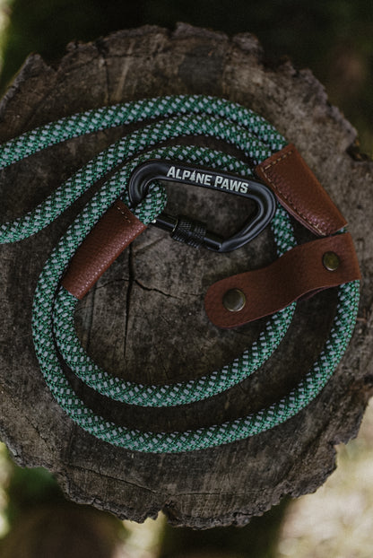 Reflective dog lead - Teal green dog leash with brown leather handle on a wooden log, featuring 'Alpine Paws' branding.