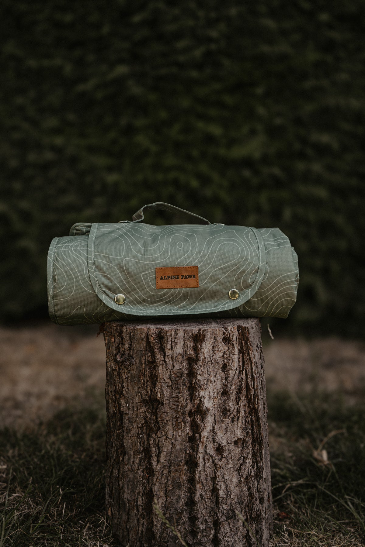 A rolled sage green dog settle mat with a handle and a brown leather alpine paws patch sits on a tree stump