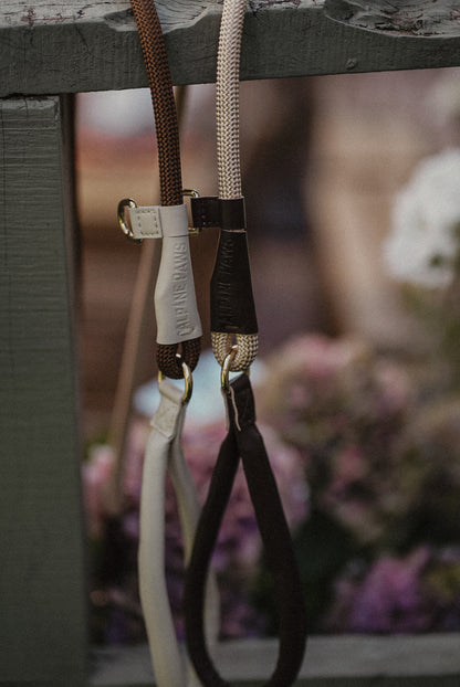 Espresso About Town Lead