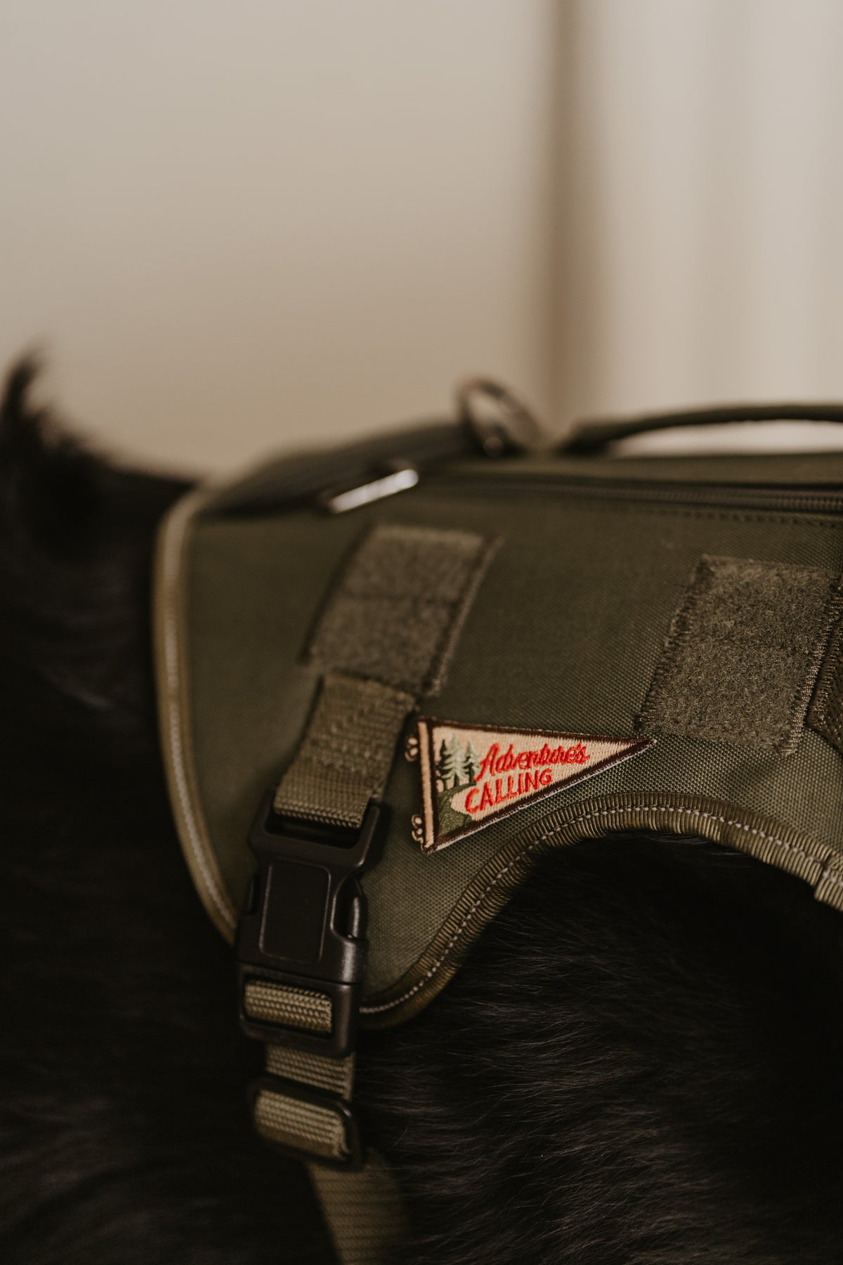 Adventure's Calling Pennant Patch