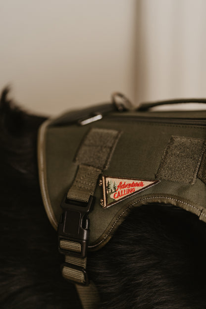 Adventure's Calling Pennant Patch