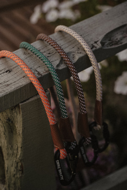 Spruce Altitude Lead