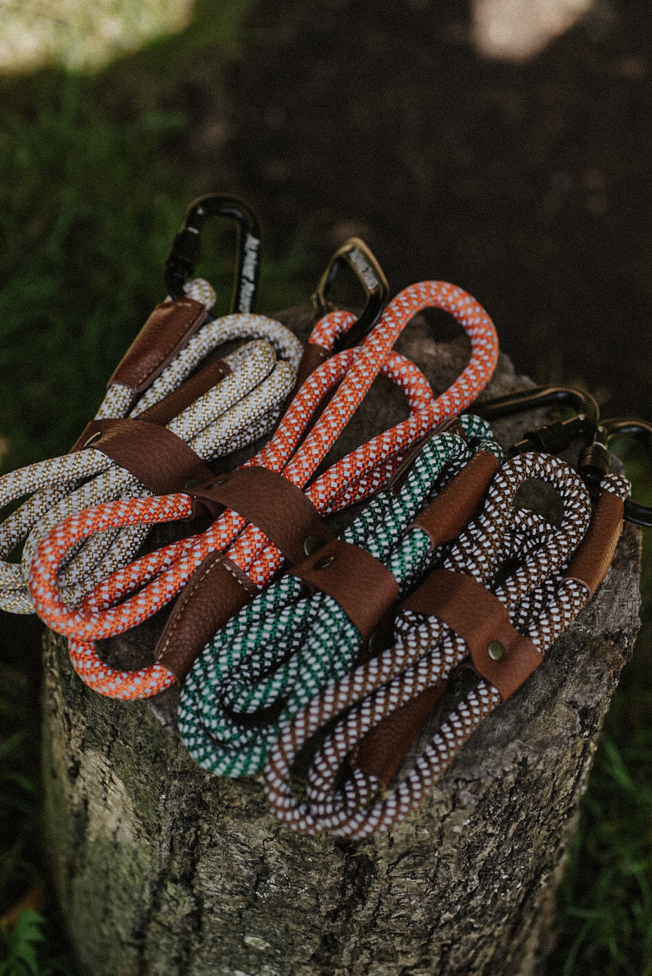 Set of alpine paws reflective dog leads on a wooden stump with a natural background