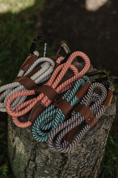 Set of alpine paws reflective dog leads on a wooden stump with a natural background