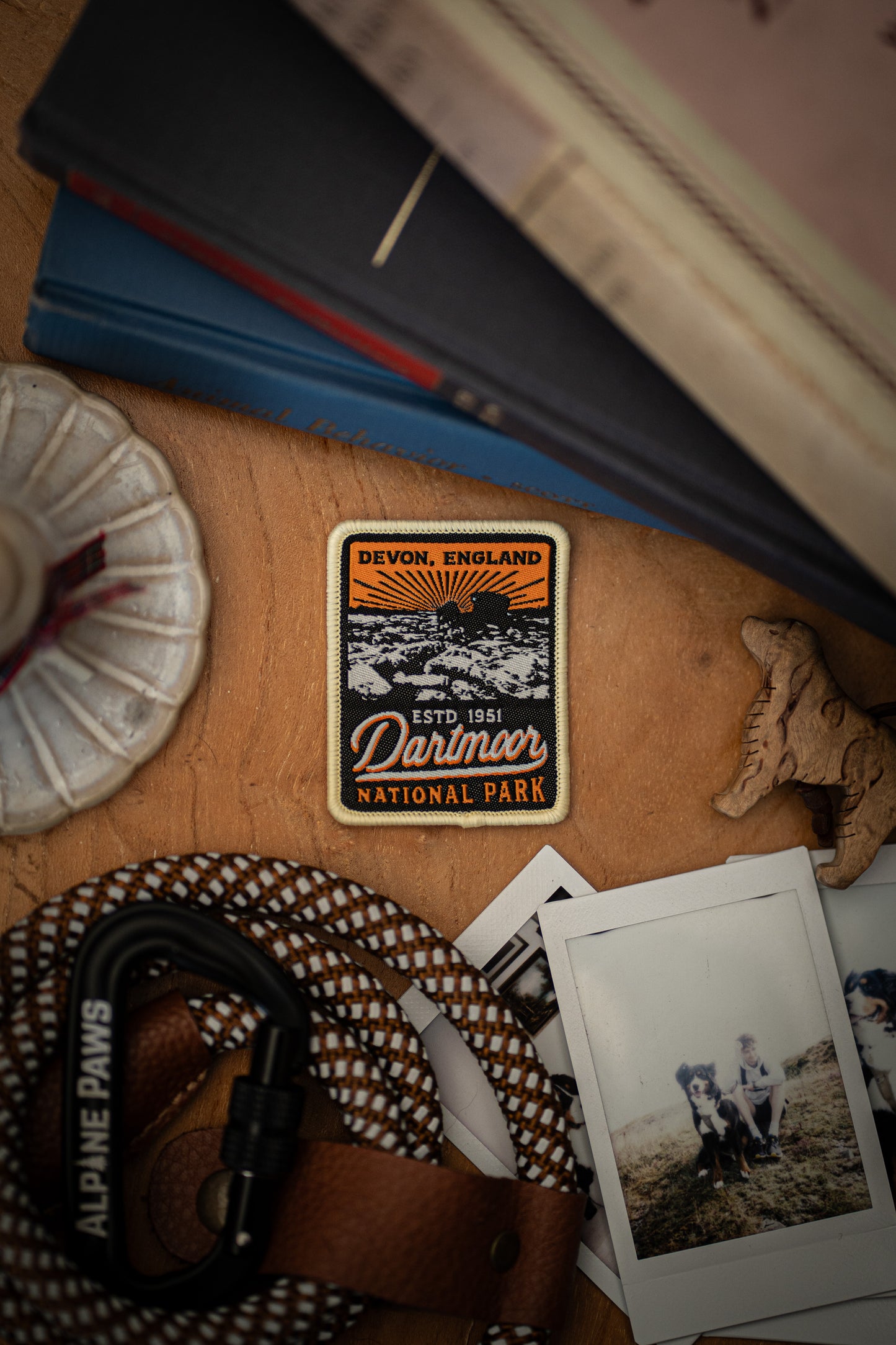 Dartmoor National Park Patch