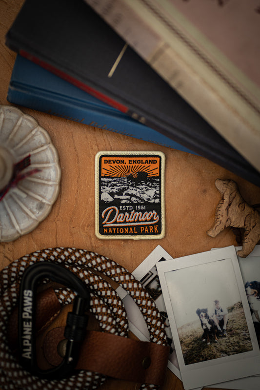 Dartmoor National Park Patch