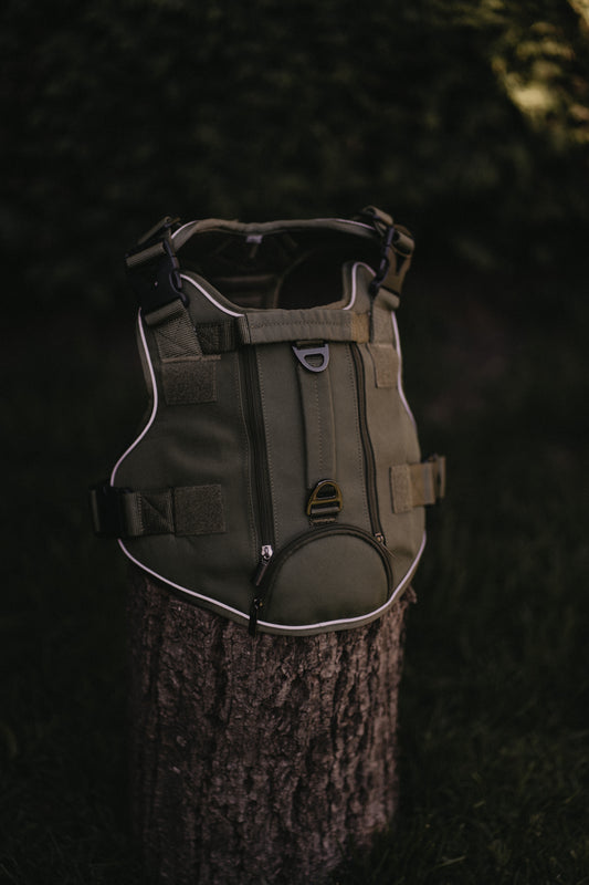 Olive green alpine dog harness with reflective piping, front view on tree stump