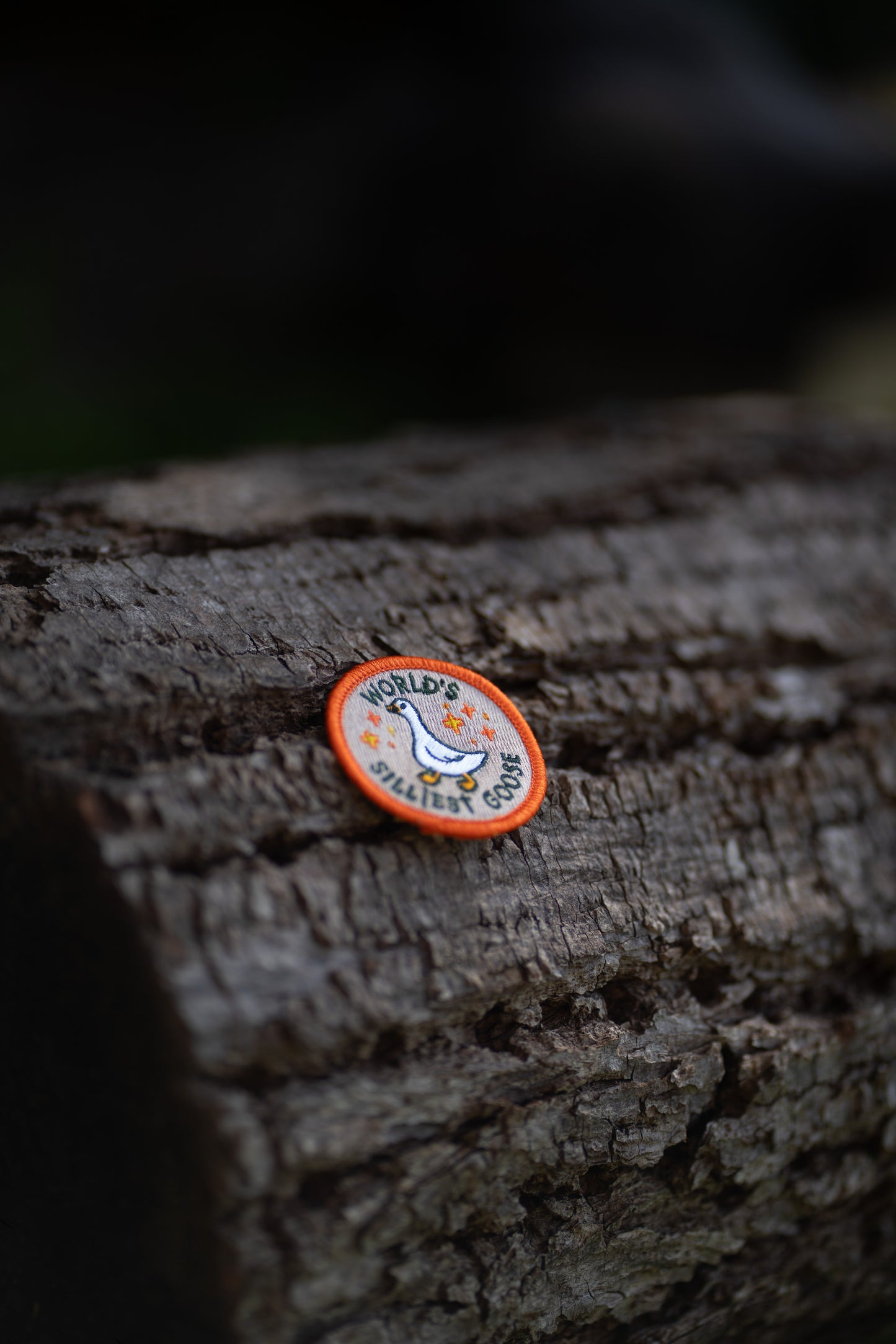 World's Silliest Goose Patch