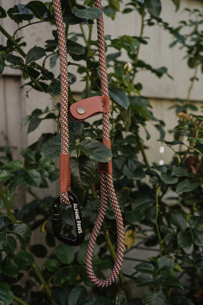 Timber Altitude Lead