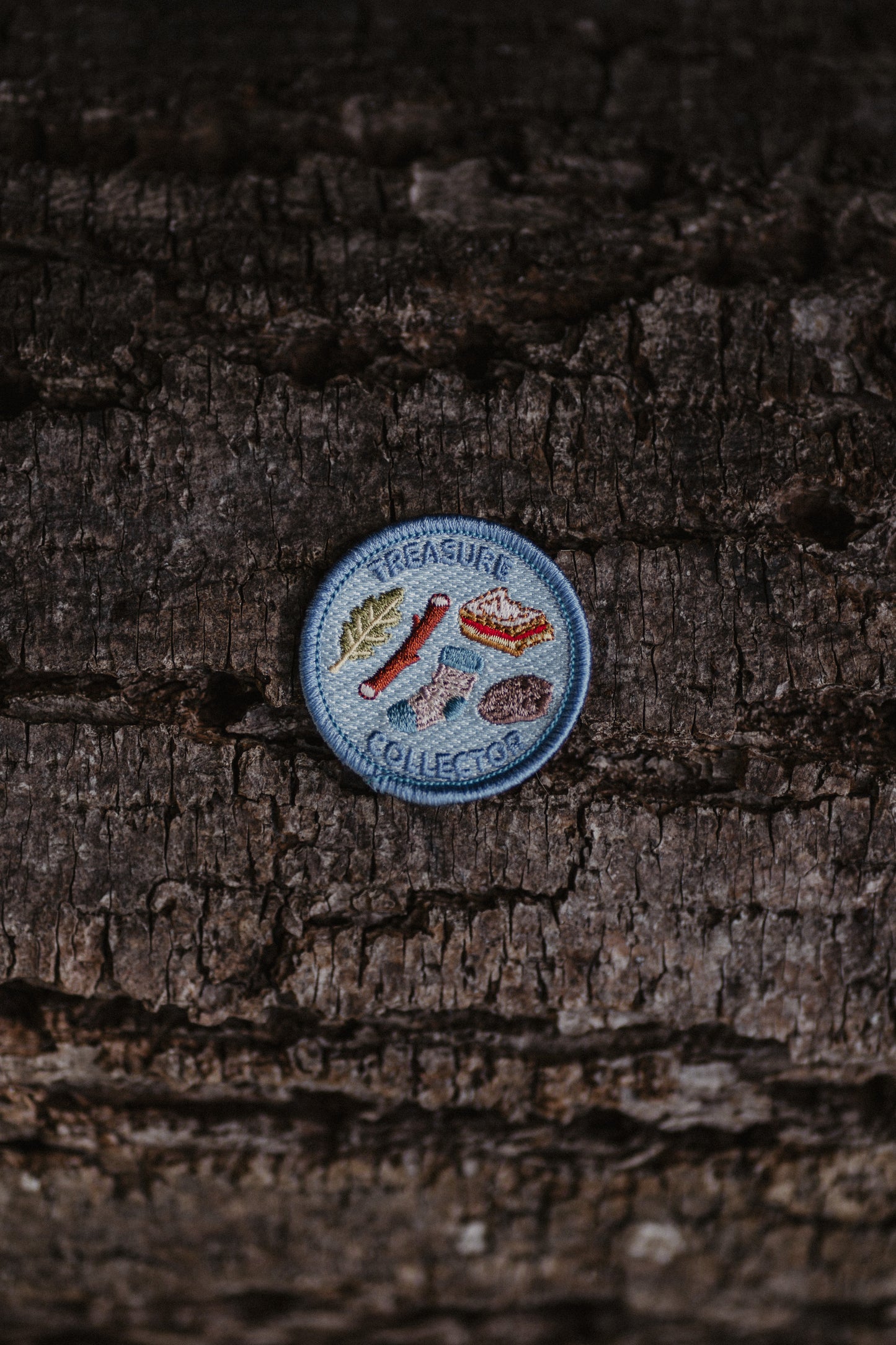 Treasure Collector Patch